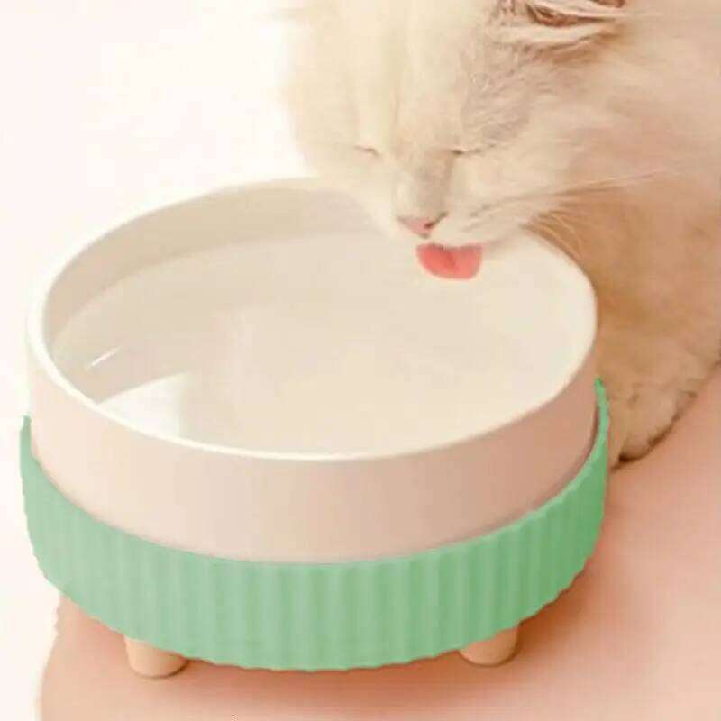 Heated Rechargeable Pet Heating Noiseless Ceramic Bowl Cat Water Fountain Animal Drinking Dispenser 26Y0312