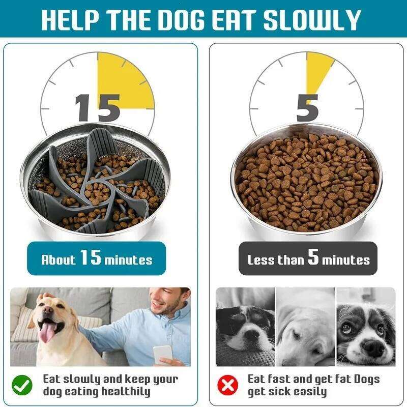 Feeder Plugin Powerful Suction Cup Slow Food Anti Choking Bowl Convenient Easy Clean Extended Dogs Eating Time Pet Supplies 26Y0312