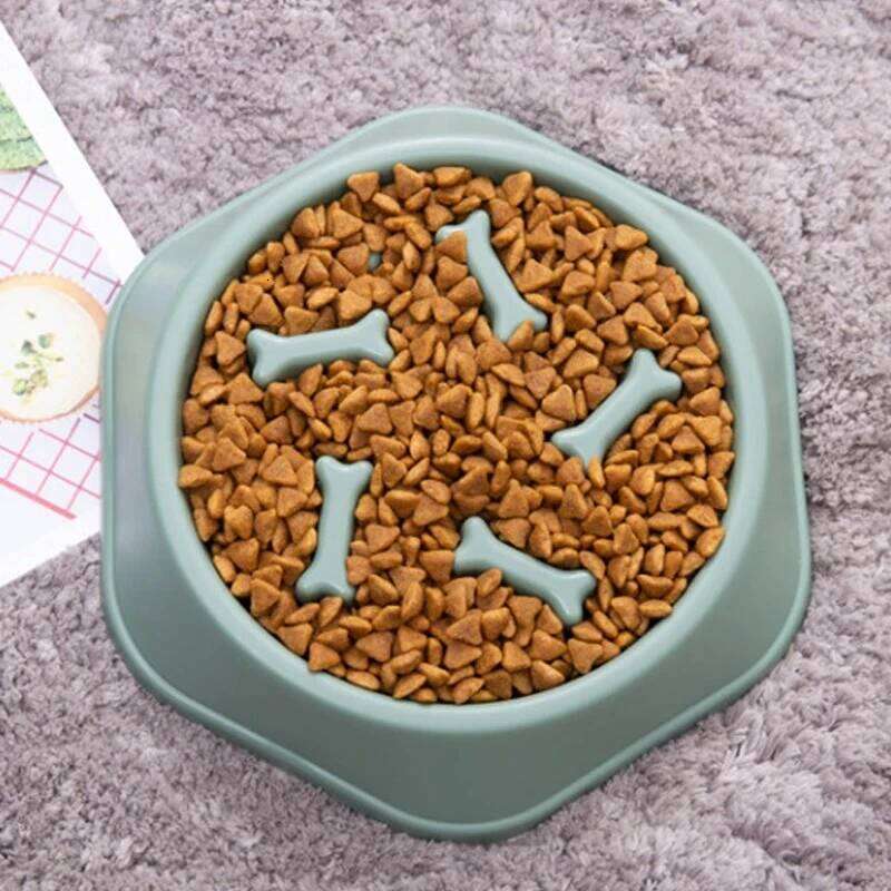Pet Slow Food Anti-choking Feeder PP Plastic Dish Bowl Home Dog Eating Plate Anti-gulping Feeding Supplies 26Y0312