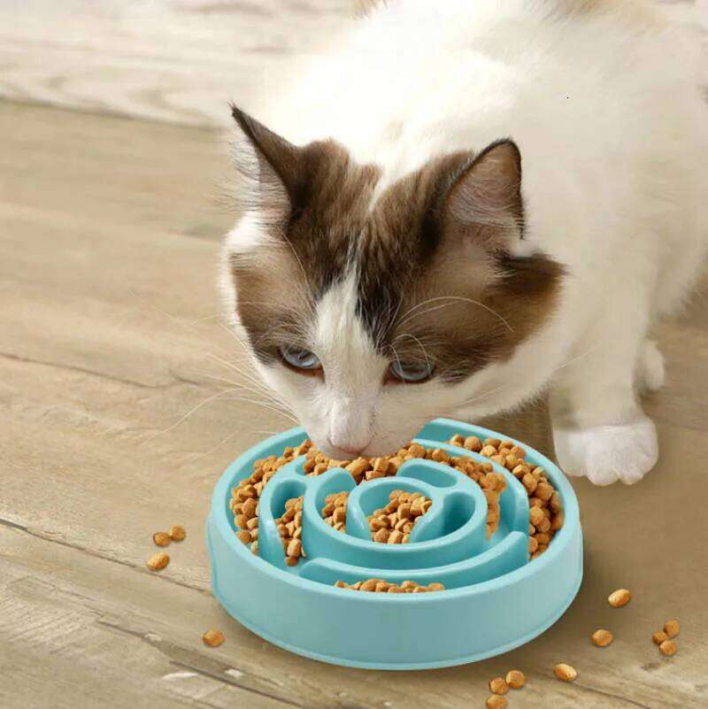 Pet anti-choking cat and dog slow feeding tray licking pet supplies 26Y0312