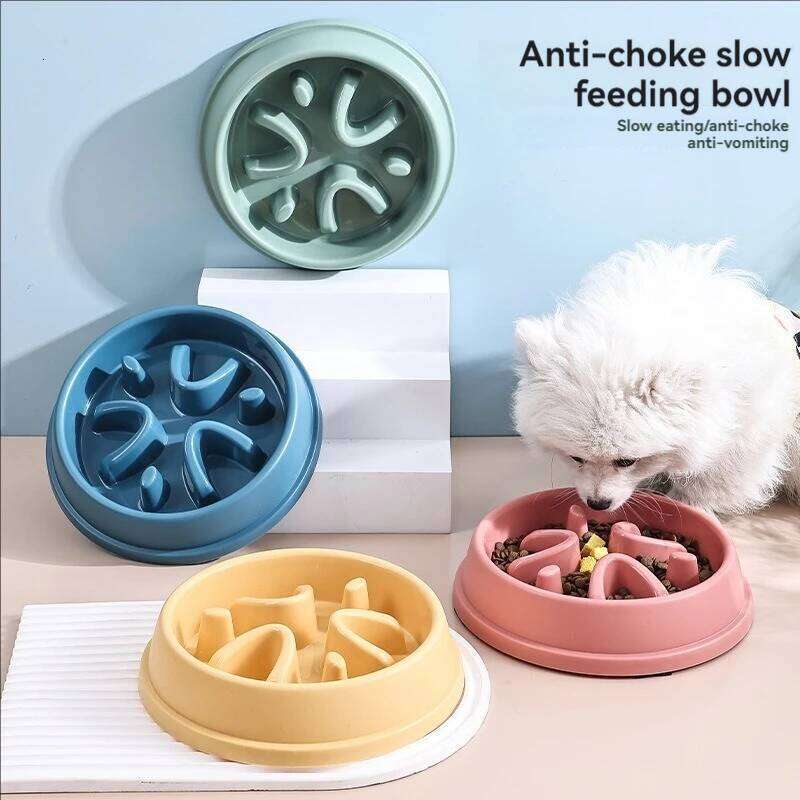 Supplies Dogs and Cats Food Non-Choking Non-Slip Slow Feeder Thickened Plastic Plate Pet Feeding Bowl 26Y0312