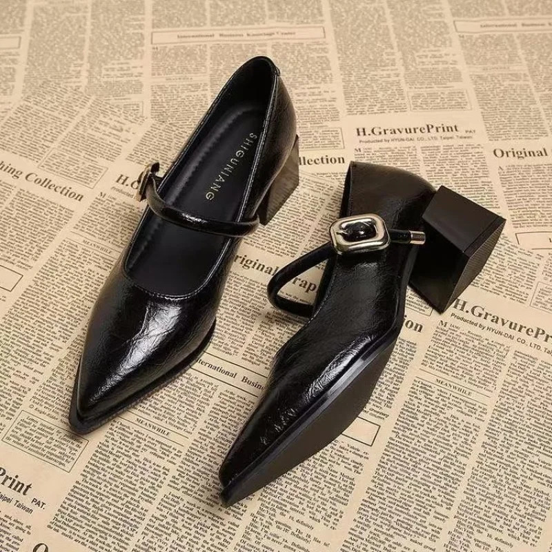 2026 Premium Leather Mary Janes - French Vintage Pointed Toe Pumps Chunky Heel Single Strap Shoes Buckle Decor 260227