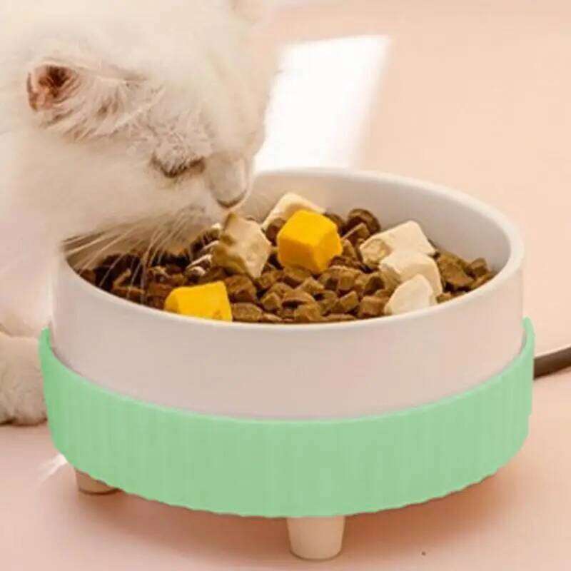 Heated Rechargeable Pet Heating Noiseless Ceramic Bowl Cat Water Fountain Animal Drinking Dispenser 26Y0312
