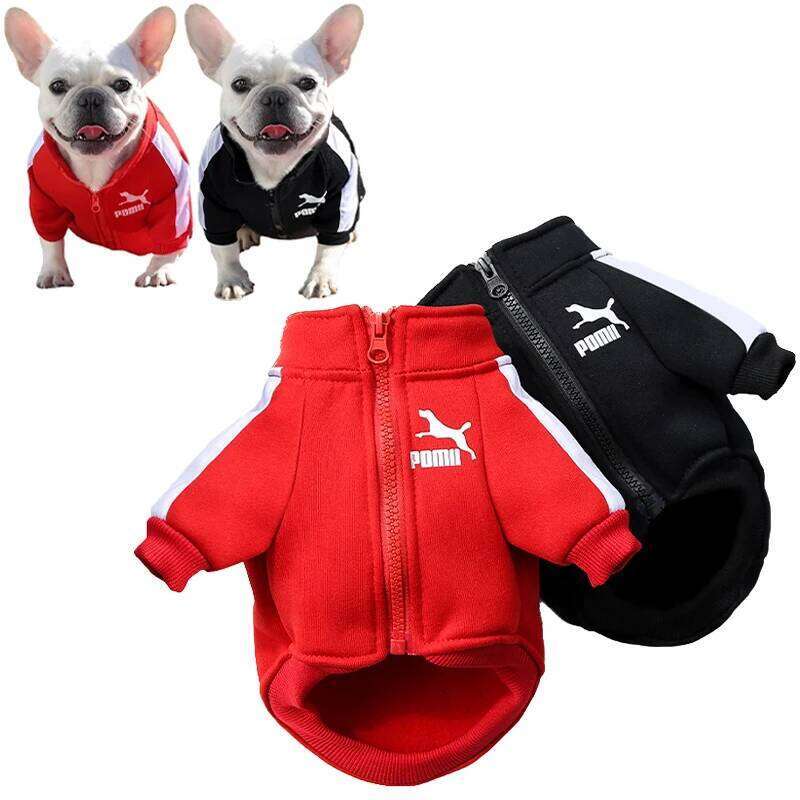 Famous brand Baseball Jacket Winter Dog Clothes for Small Medium Dogs Puppy Pet Vest French Bulldog Sweatshirt Chihuahua Costume Pug Coat pupakaIK
