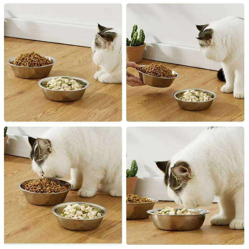 Large Capacity Stainless Steel Pet Feeding Bowls Cat Dog Food Drinking Metal Feeder Bowl Durable and Cheap 26Y0312