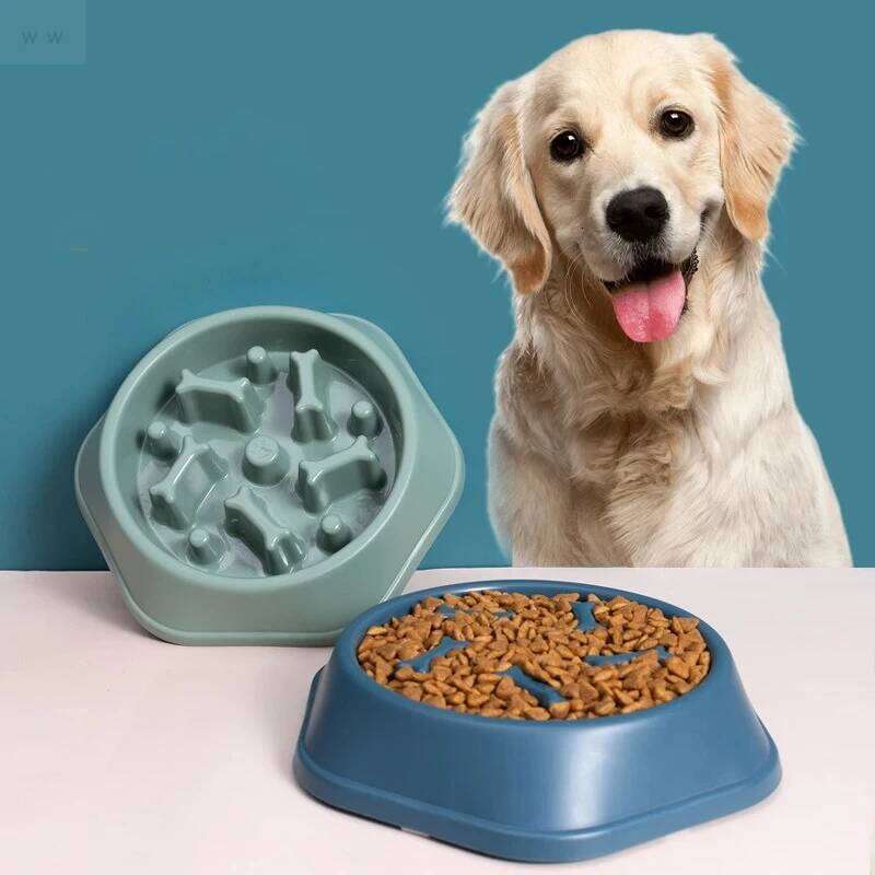Pet Slow Food Anti-choking Feeder PP Plastic Dish Bowl Home Dog Eating Plate Anti-gulping Feeding Supplies 26Y0312