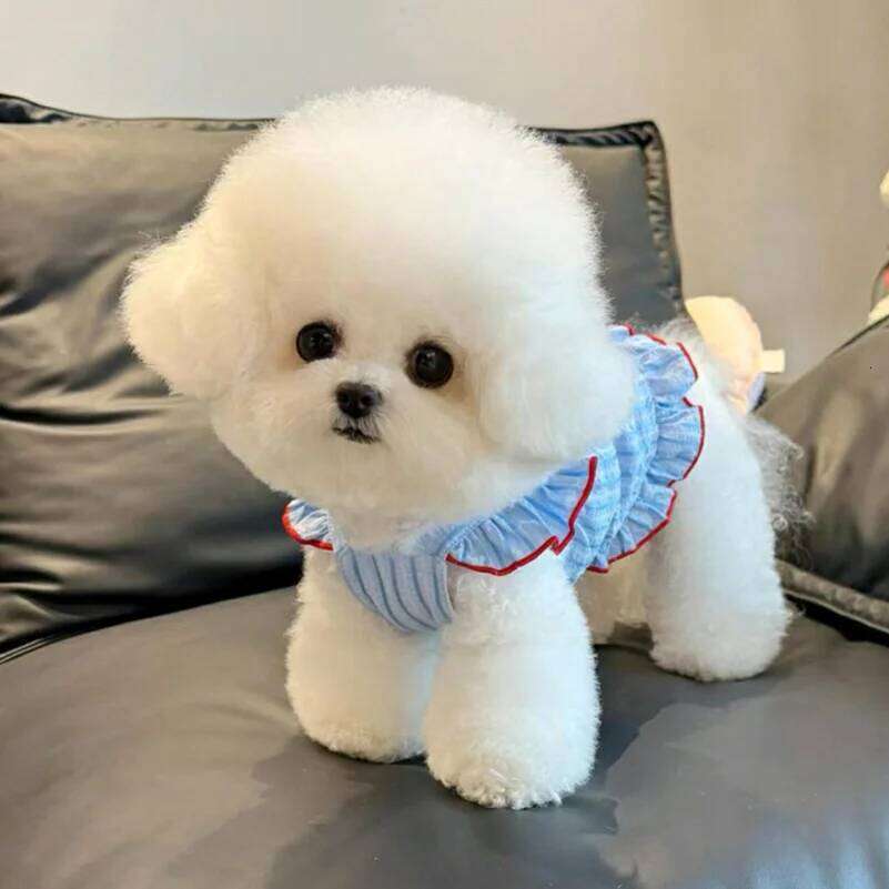 Princess Skirt Thin Summer Teddy Bichon Pomeranian Schnauzer Clothes Pet Cats Dress for Small Dog
