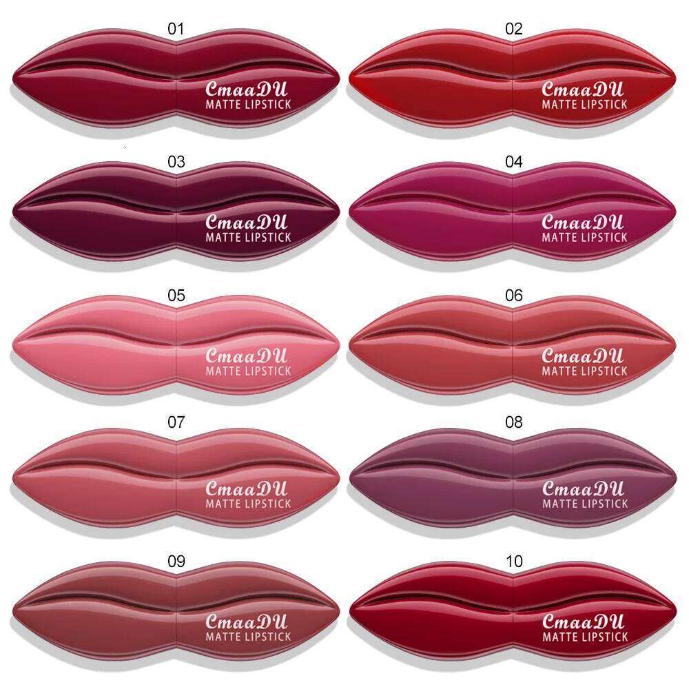 10 Matte Velvet Rich Color Rendering Lip Makeup Tool Long Lasting Waterproof Lipstick W260311