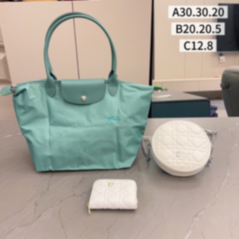 Different Designer Bag Luxury Handbag Ges Three-piece Set Shoulder Oblique Span Bag Beauty Bag Wallet Chain Bag Women's Printing
