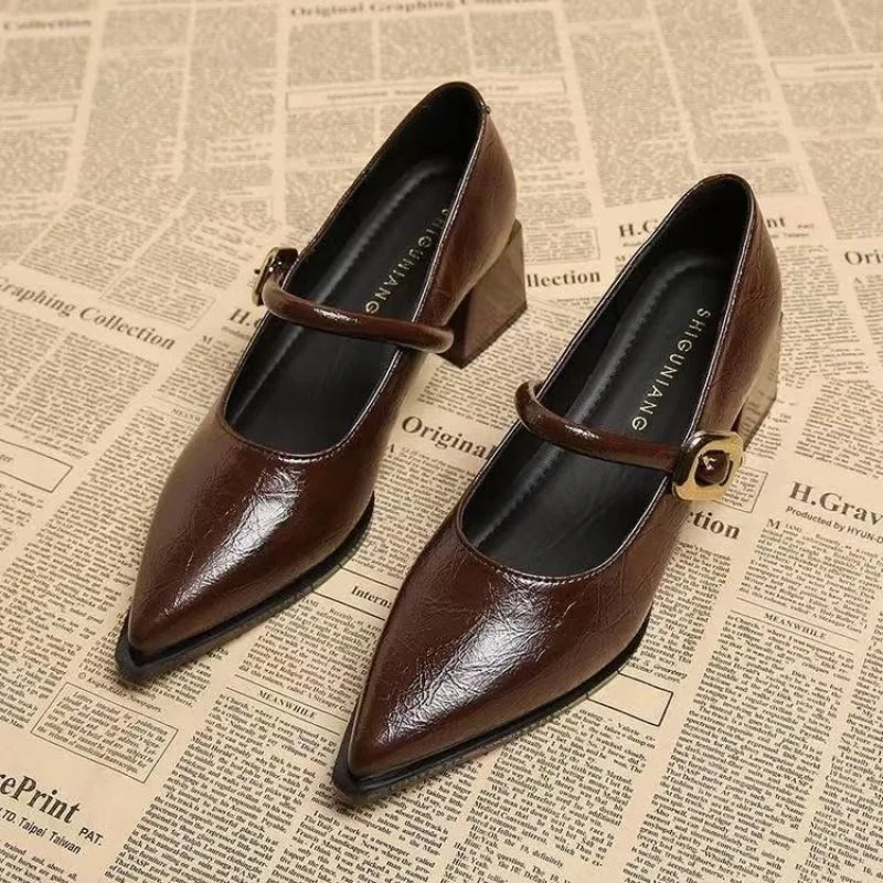 2026 Premium Leather Mary Janes - French Vintage Pointed Toe Pumps Chunky Heel Single Strap Shoes Buckle Decor 260227