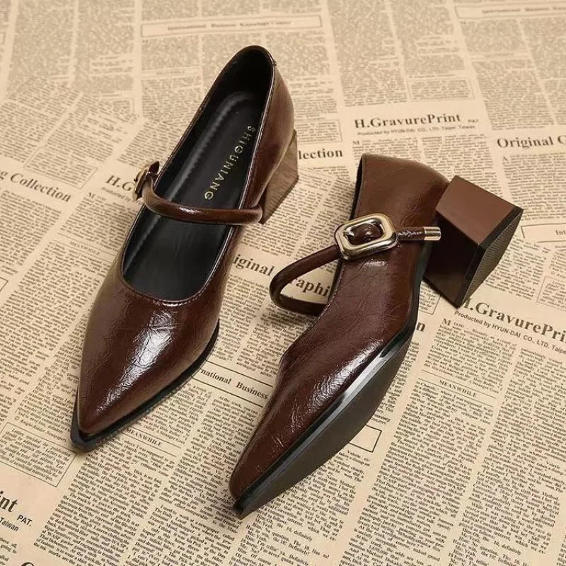 2026 Premium Leather Mary Janes - French Vintage Pointed Toe Pumps Chunky Heel Single Strap Shoes Buckle Decor 260227