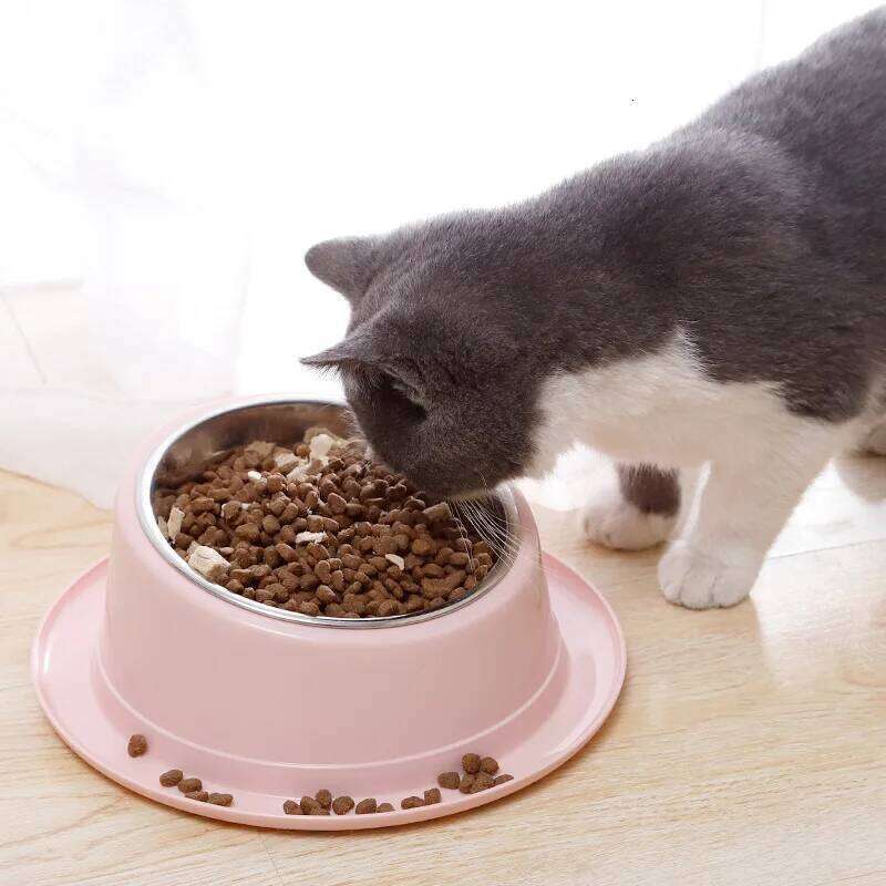 Feeder Slope Anti-Ant Food Cat Accessories Dog Bowl Quality Stainless Steel Container For Cats Pet Supplies 26Y0312