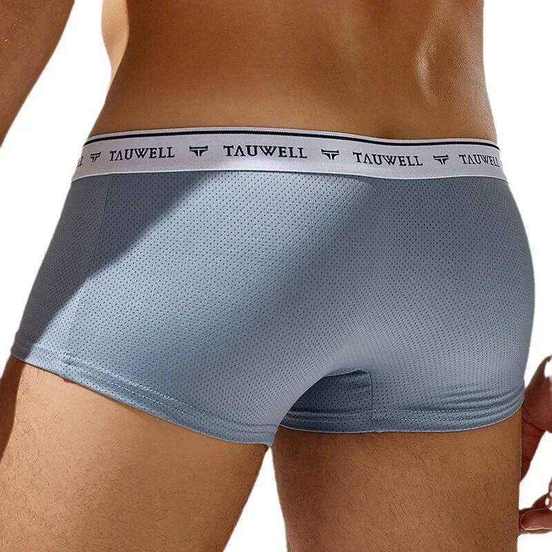 Men's Boxy Underwear Ice Silk Mesh Breathable Comfort Quick Dry Elastic Sports Trunk Youth Low-rise U Convex Pouch Boxer Shorts Z260312