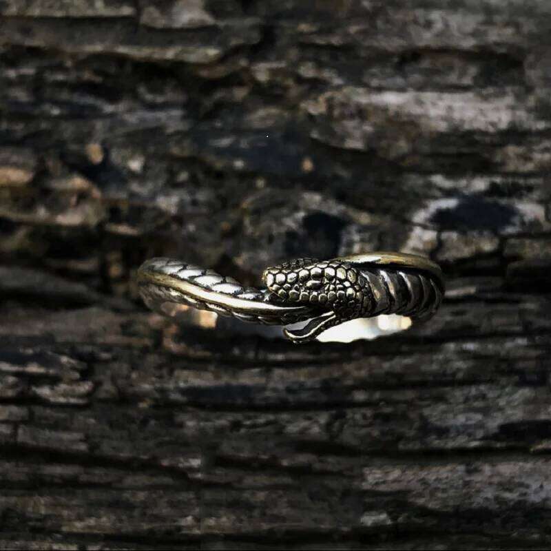 Vintage Ouroboros Men Jewelry Adjustable Exquisite Carved Snake Ring S925 Male Gold Collision Tail Finger Accessories H260312