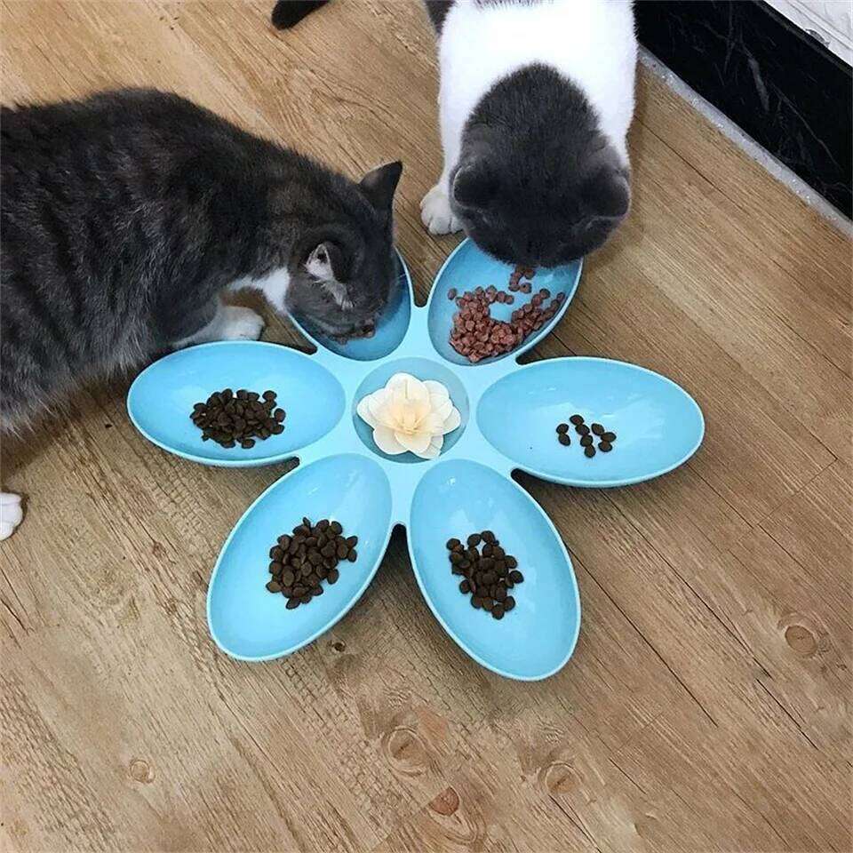 Petal Baby Milk Special Multi functional Cat and Dog Food Bowl Upgrade Pet Lunch Time 26Y0312