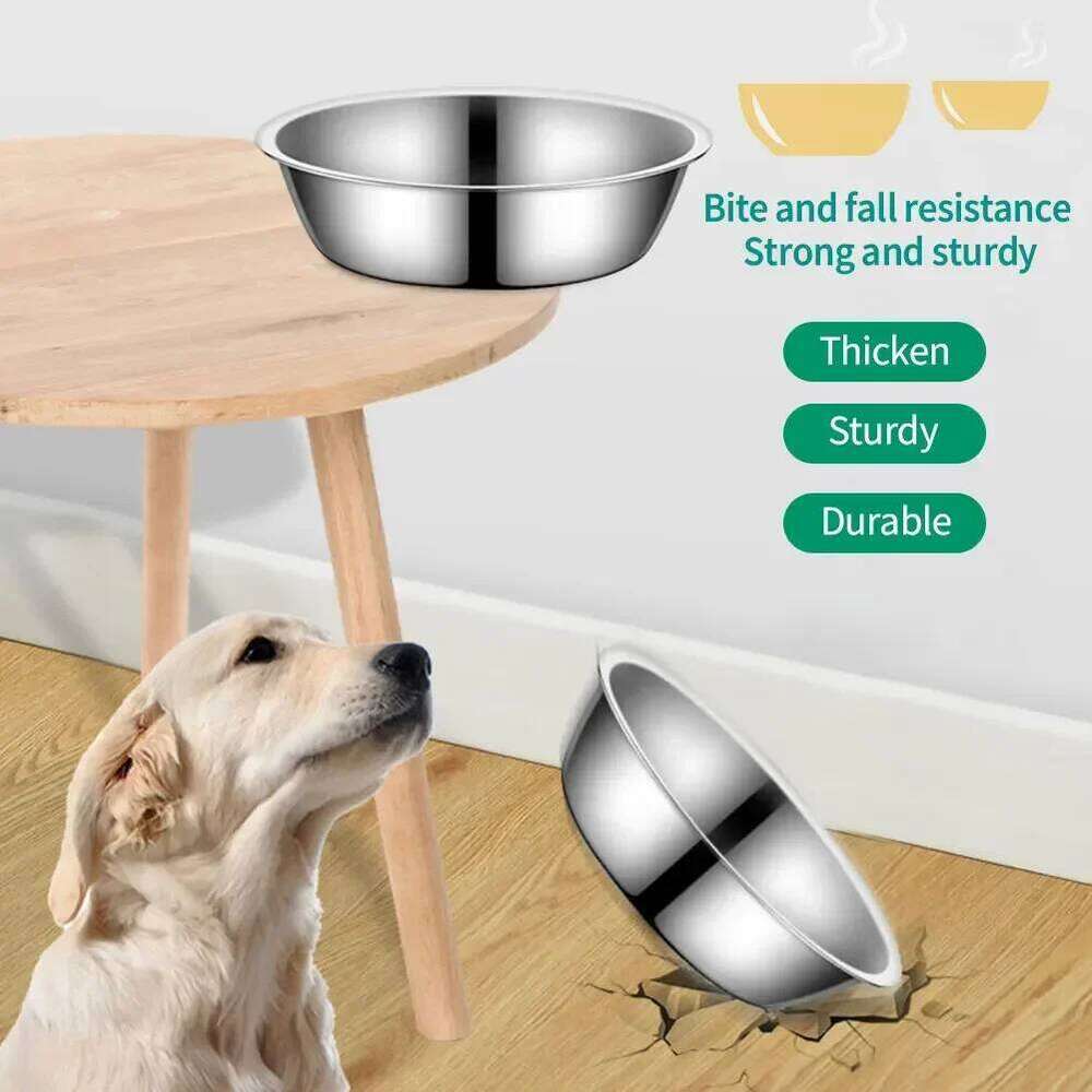 Large Capacity Stainless Steel Pet Feeding Bowls Cat Dog Food Drinking Metal Feeder Bowl Durable and Cheap 26Y0312