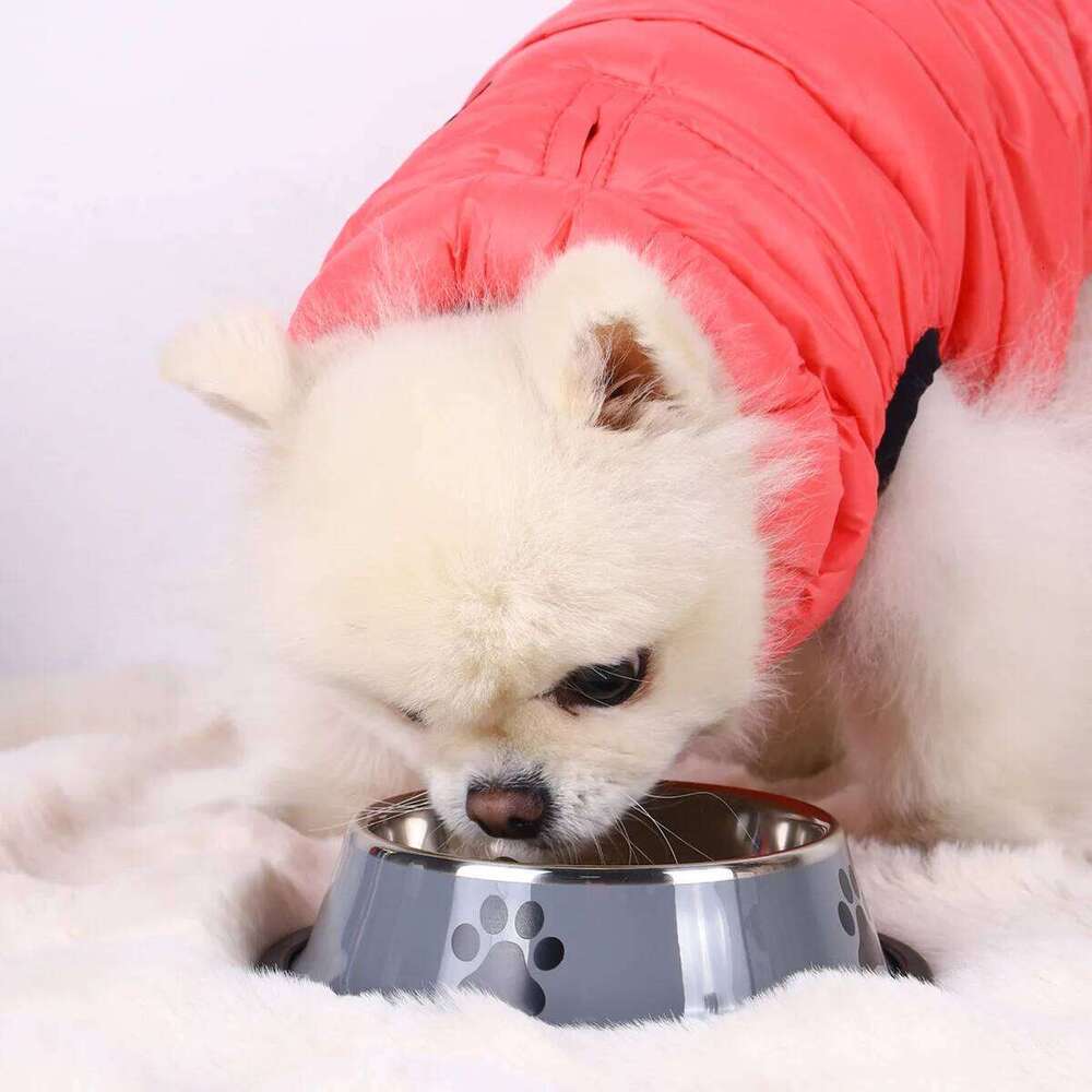 Stainless steel large capacity dog multiple specifications anti-fall food bowl feeding pet supplies 26Y0312