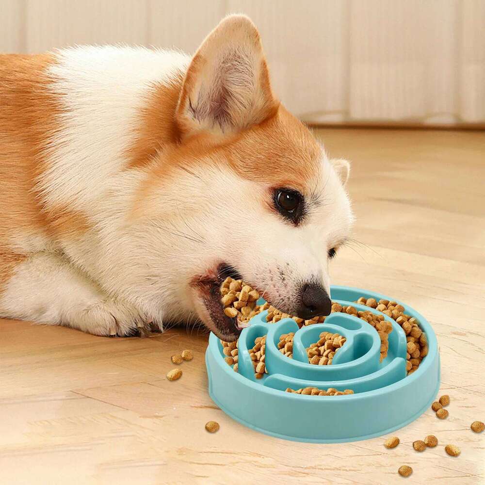Pet Slow Food Bowl Non slip and Durable - Suitable for pets of all sizes 26Y0312