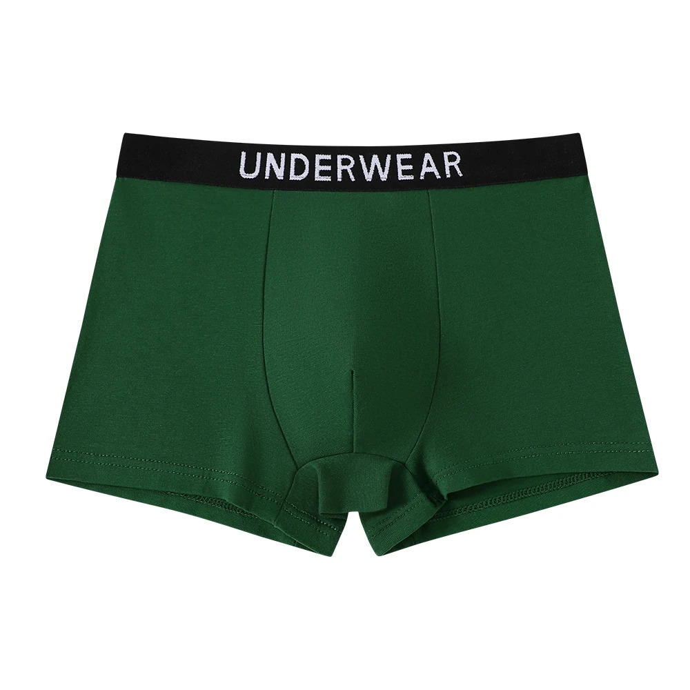 5pcs Mixed Boys Underwear 814 Years Old Plain Color Black Gray Blue Cotton Soft Breathable Comfortable Simple Boy Flat Angle Un 260311