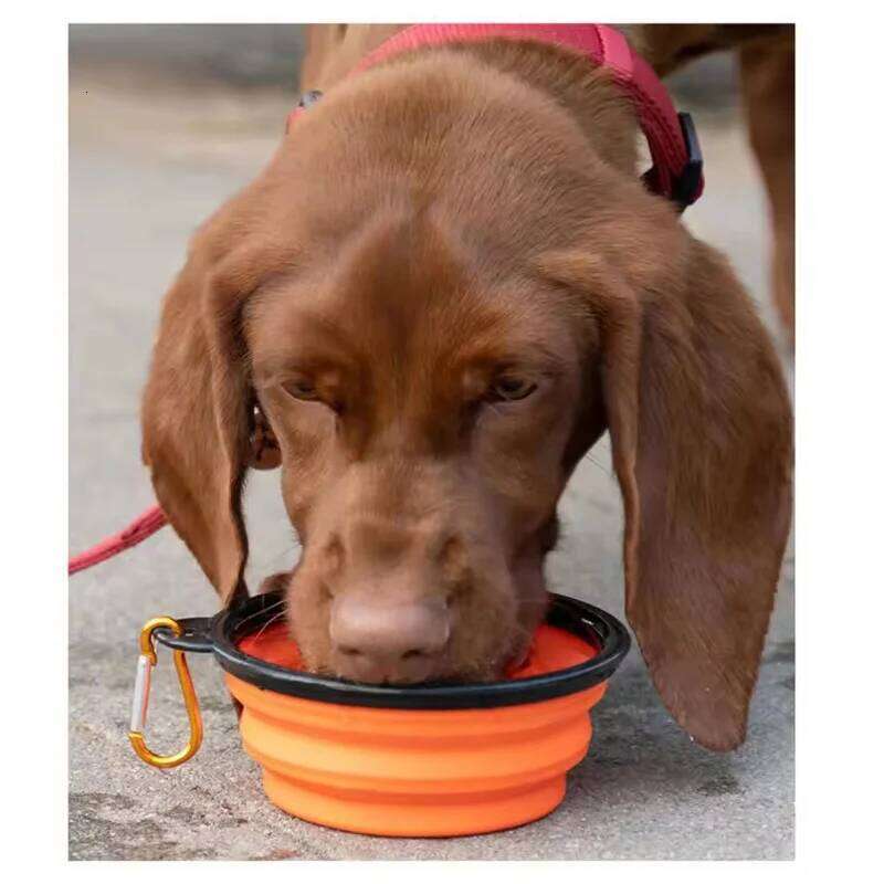 Collapsible Dog Folding Silicone Outdoor Travel Portable Puppy Food Container Feeder Dish Bowl Pet supplies 26Y0312