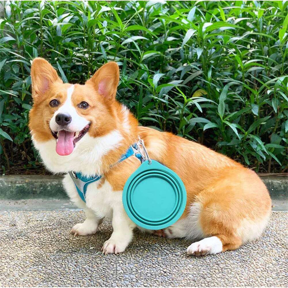 350/600ml Large Collapsible Dog Pet Folding Silicone Outdoor Travel Portable Puppy Food Container Feeder Dish Bowl 26Y0312