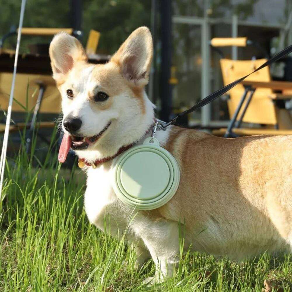 Pet Folding Silicone Outdoor Travel Portable Food Water Container Dogs Feed Supplies Bowl Cat with Carabiner 26Y0312