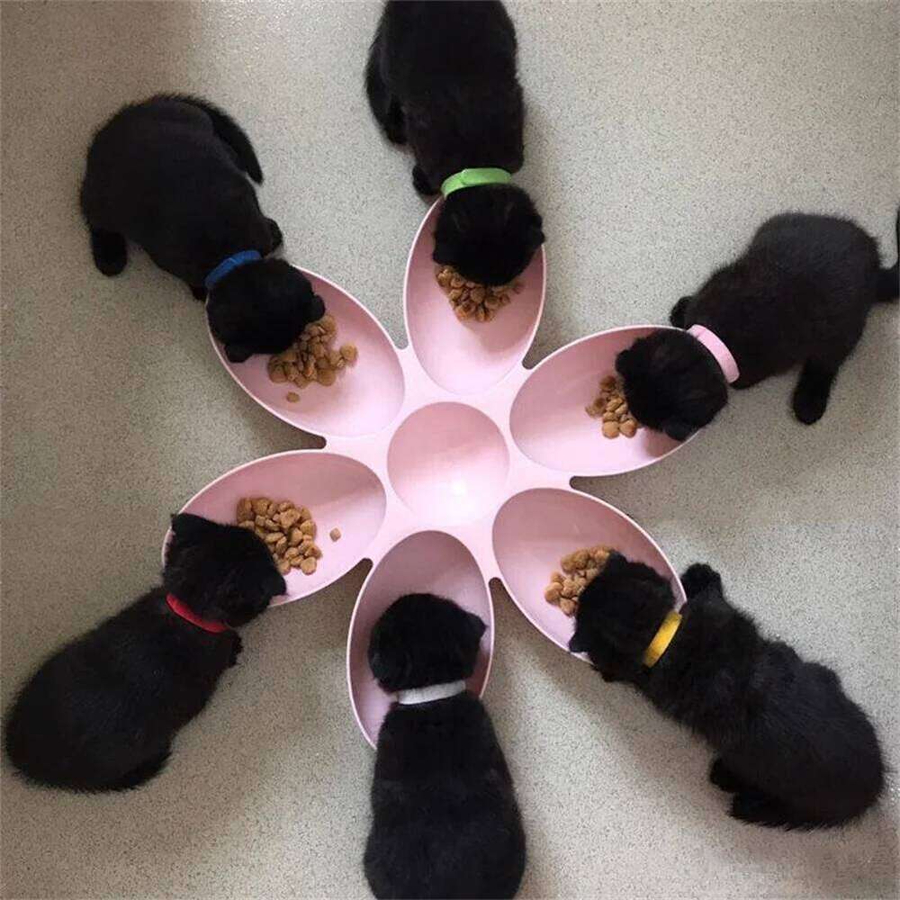 Petal Baby Milk Special Multi functional Cat and Dog Food Bowl Upgrade Pet Lunch Time 26Y0312