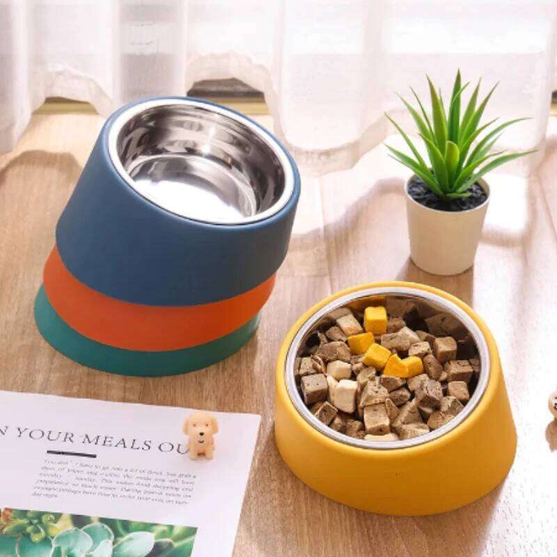 Pet Slanted Mouth, Elevated Bowl, Stainless Steel Dog Food with Bowl Rack, Water Basin, Durable and Detachable 26Y0312