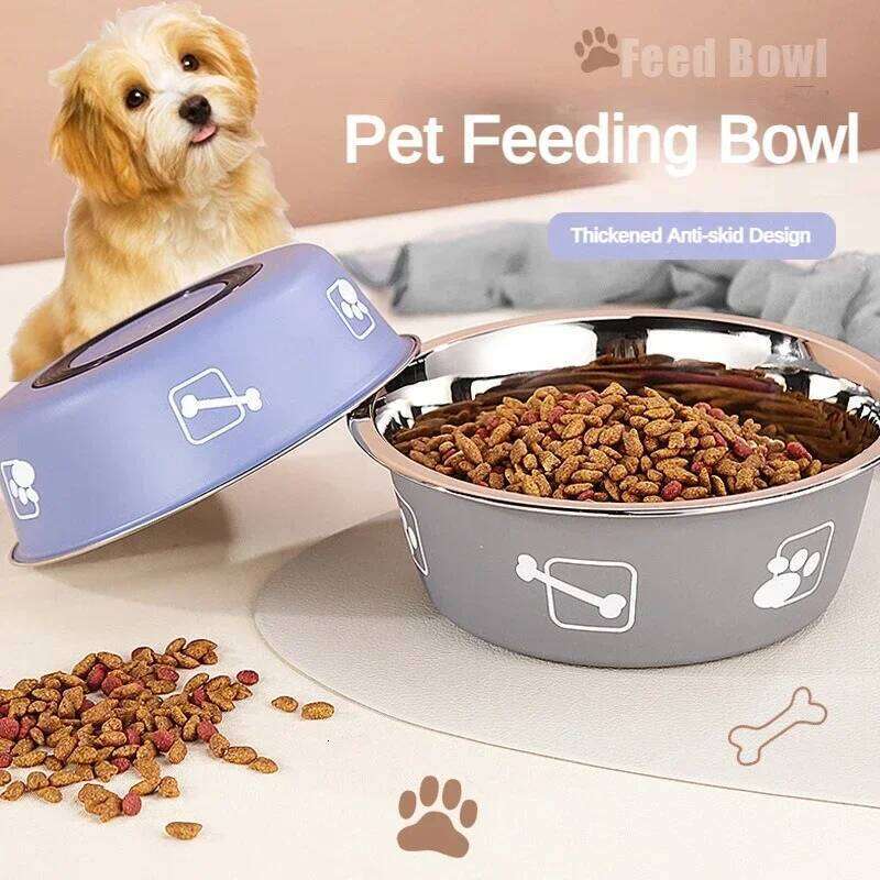 Durable Food Bowl Stainless Steel Double-layer Thickened Anti-slip Pet Feeder Water Basin Universal for Cats and Dogs 26Y0312