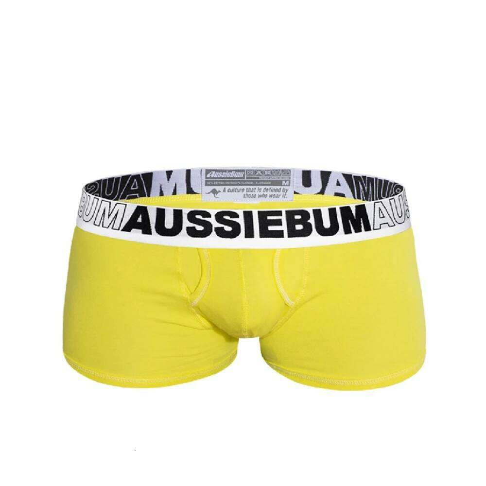 Men's Underwear Fashion Boxer Briefs Brand Pants Low-waist Cotton Breathable New Arrival Comfortable Male Underpants Z260312