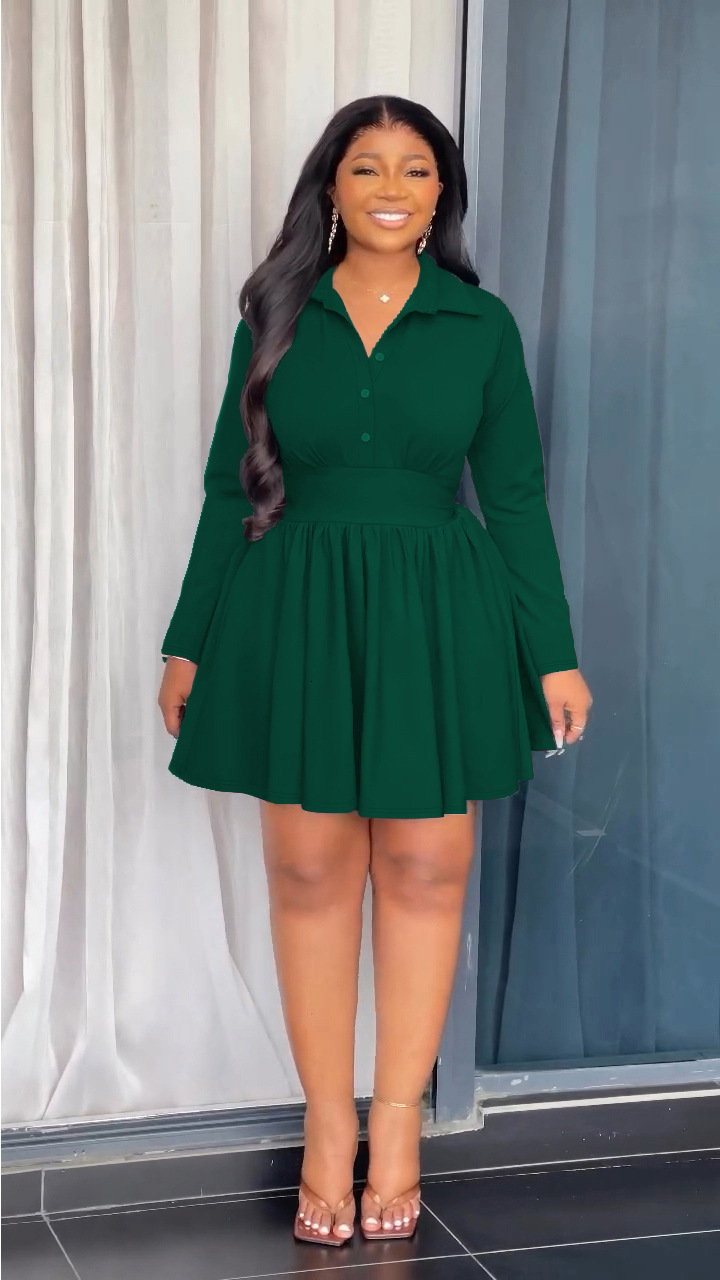 Womens Fashionable Elegant Collared Buttoned Pleated Ruffle Long Sleeve Dress