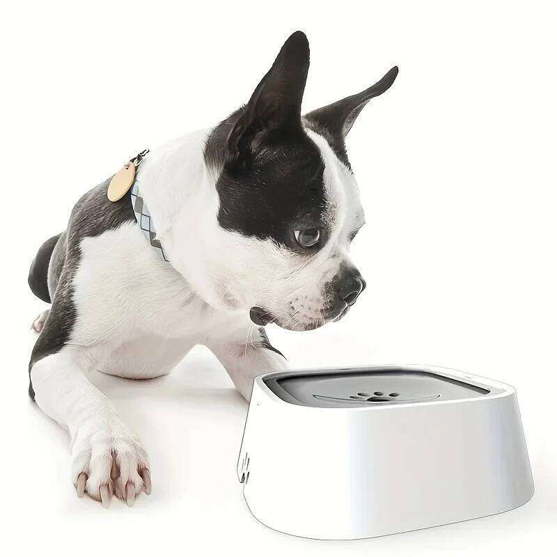 Dog No-Spill Pet Water Bowl Slow Feeder Dish 26Y0312