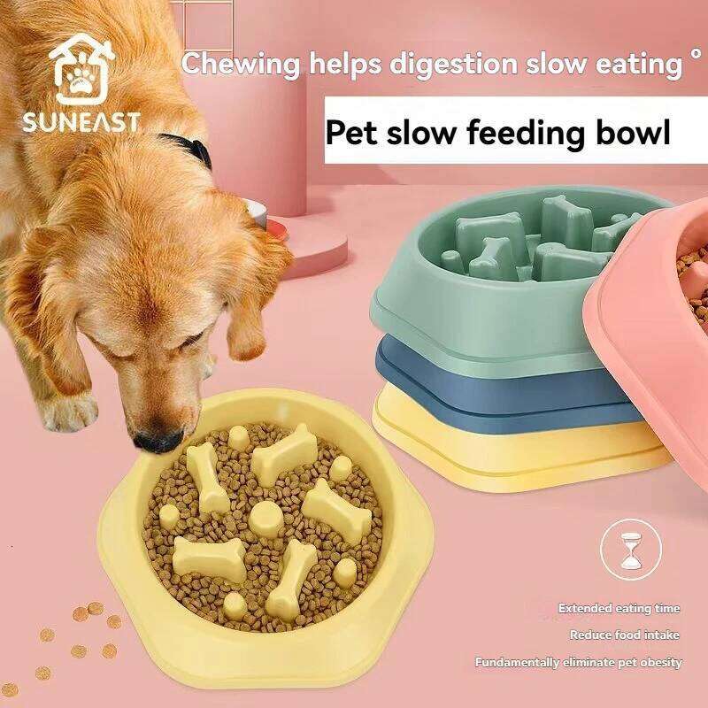 Pet Food Bowl, Environmentally Friendly 26Y0312