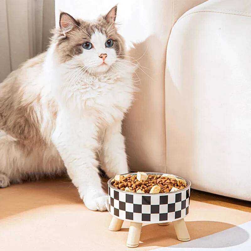 Pet cat dog bowl polka-dot plaid stainless steel anti-slip easy to clean indoor and outdoor 26Y0312