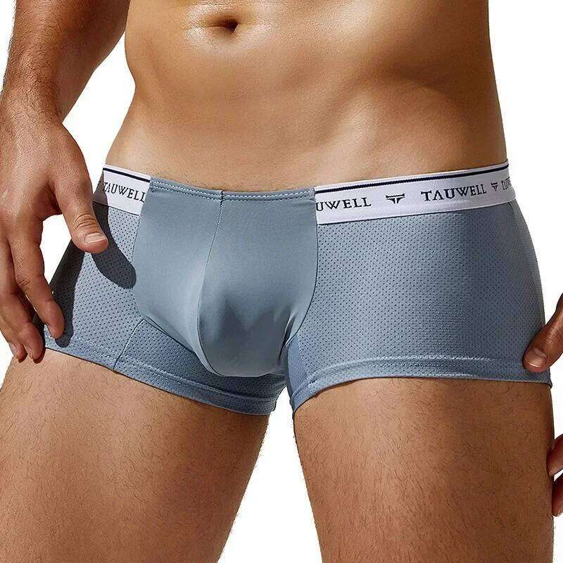 Men's Boxy Underwear Ice Silk Mesh Breathable Comfort Quick Dry Elastic Sports Trunk Youth Low-rise U Convex Pouch Boxer Shorts Z260312