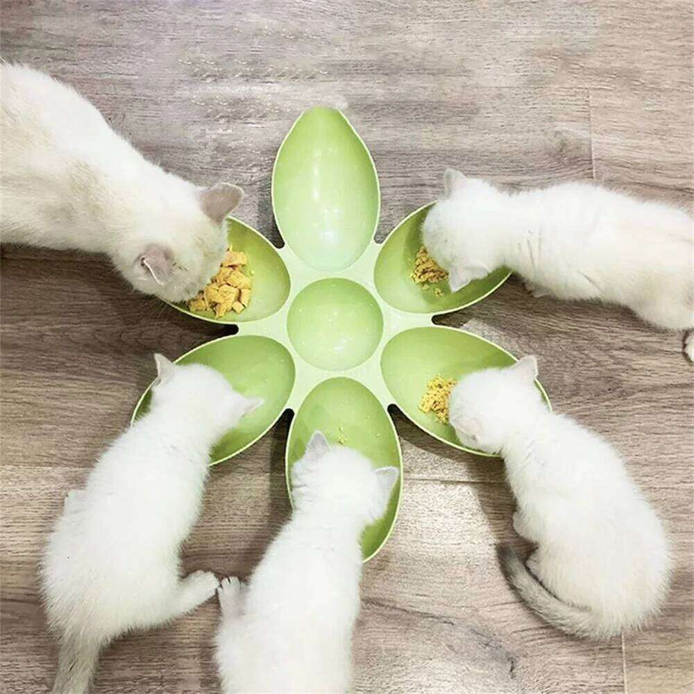 Petal Baby Milk Special Multi functional Cat and Dog Food Bowl Upgrade Pet Lunch Time 26Y0312