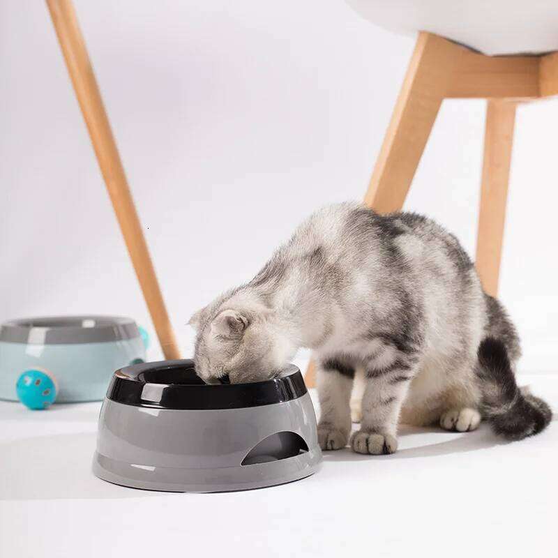 Pet Bowls Floating Not Wetting Mouth Cat No Spill Drinking Water Feeder Plastic Portable Dog Bowl dog accessories 26Y0312