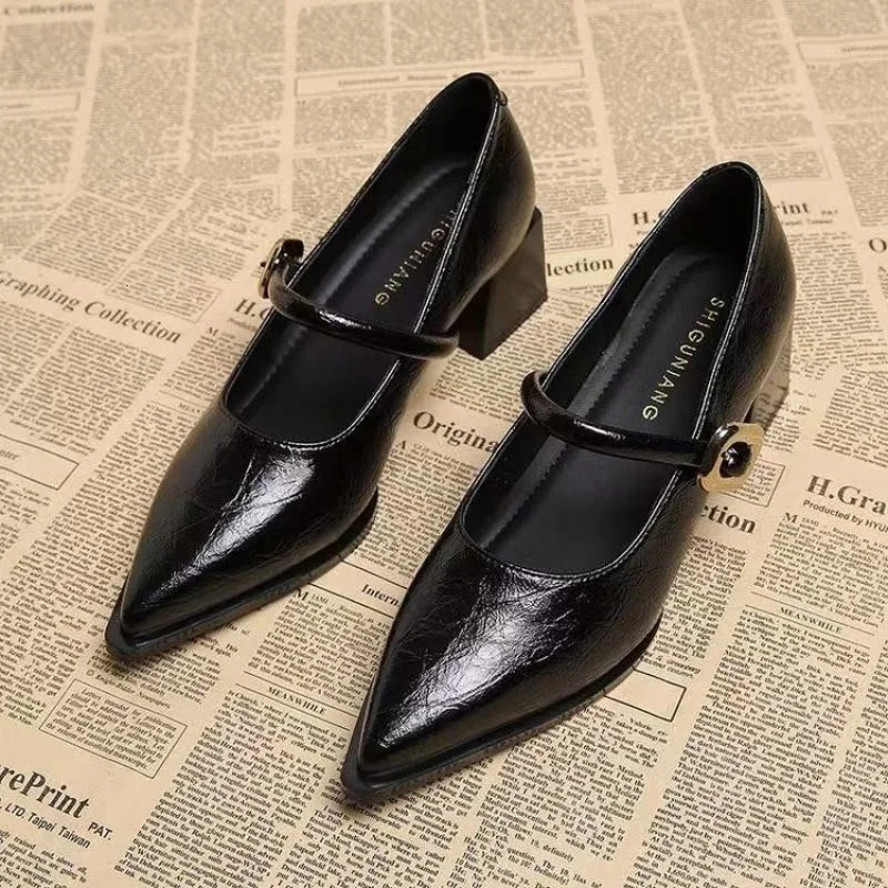2026 Premium Leather Mary Janes - French Vintage Pointed Toe Pumps Chunky Heel Single Strap Shoes Buckle Decor 260227