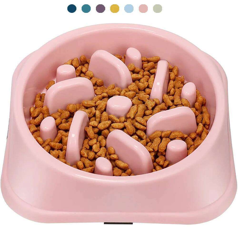 Slow Feeder Non Slip Anti-Gulping Pet Slower Food Feeding Dishes Dog Bowl for Medium Small Dogs Puppy 26Y0312