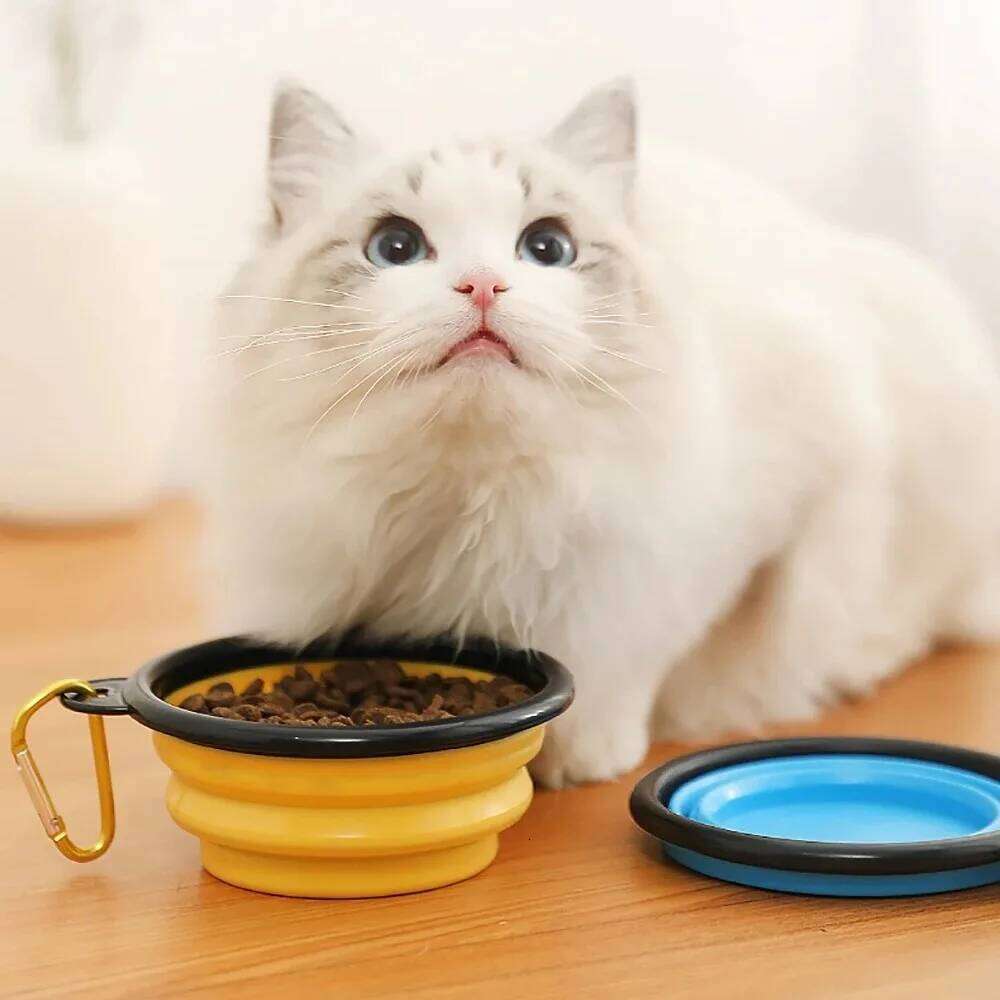 Dogs Feed Supplies Silicone Portable Puppy Water Container with Carabiner Folding Cats Bowl Travel Pets Accessories 26Y0312