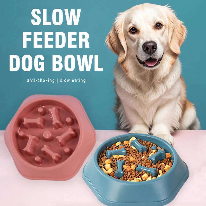 Feeder Anti-choking Puppy Food Bowl Anti-slip Pet Slow Eating Dog Dishes Feeders for Dogs Small Medium 26Y0312
