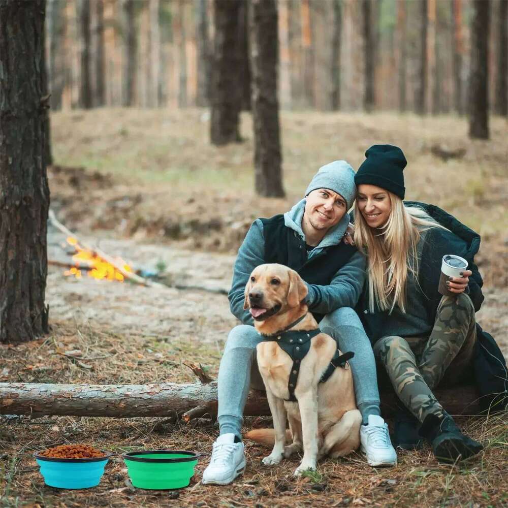Collapsible Black Frame Keychain Portable Travel Food Water Dish Dog Cat BPA Free Silicone Lightweight Pet Feeding Bowl 26Y0312