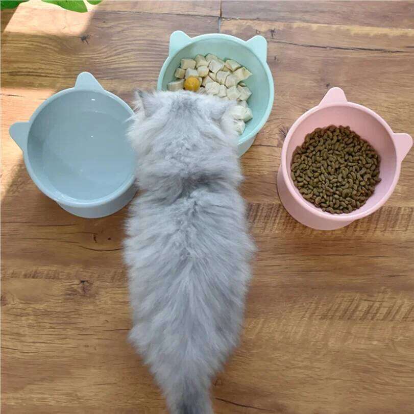 2022 Hot High Foot Dog 45Neck Protector Cat Food Water Feeding Cup Pet Feeder Bowl 26Y0312