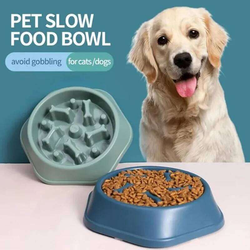 Feeder Non Slip Cat Dog Slower Food Feeding Large Small Medium Slow Eat Dishes Bowl Pet Supplies 26Y0312