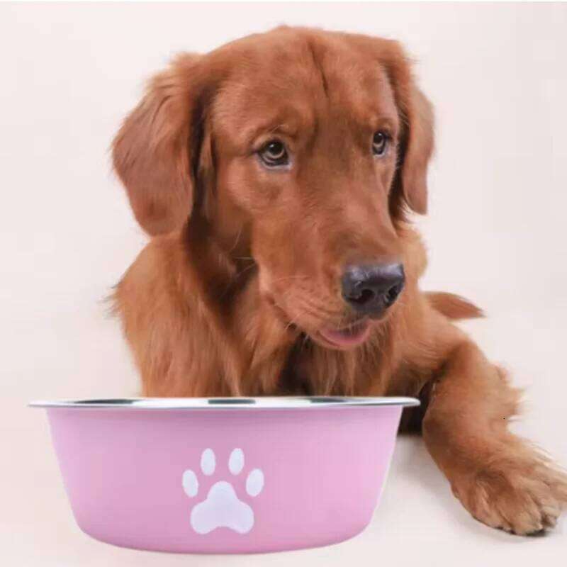 Large capacity stainless steel anti-slip anti-rust dog water pet feeder double-layer cat bowl suitable for puppies 26Y0312