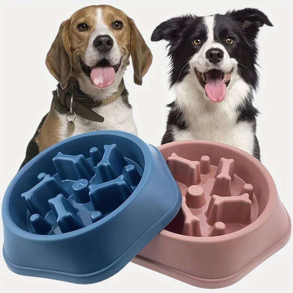 Feeder Non-choking Bowl Anti Slip Large Capacity for Dog and Cat Anxiety Slow Food Feeding Pet Supply 26Y0312
