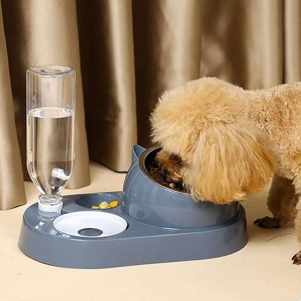 Container with Waterer Feeder 2-in-1 Dispenser Automatic Water Storage Pet Dog Cat Food Bowl 26Y0312