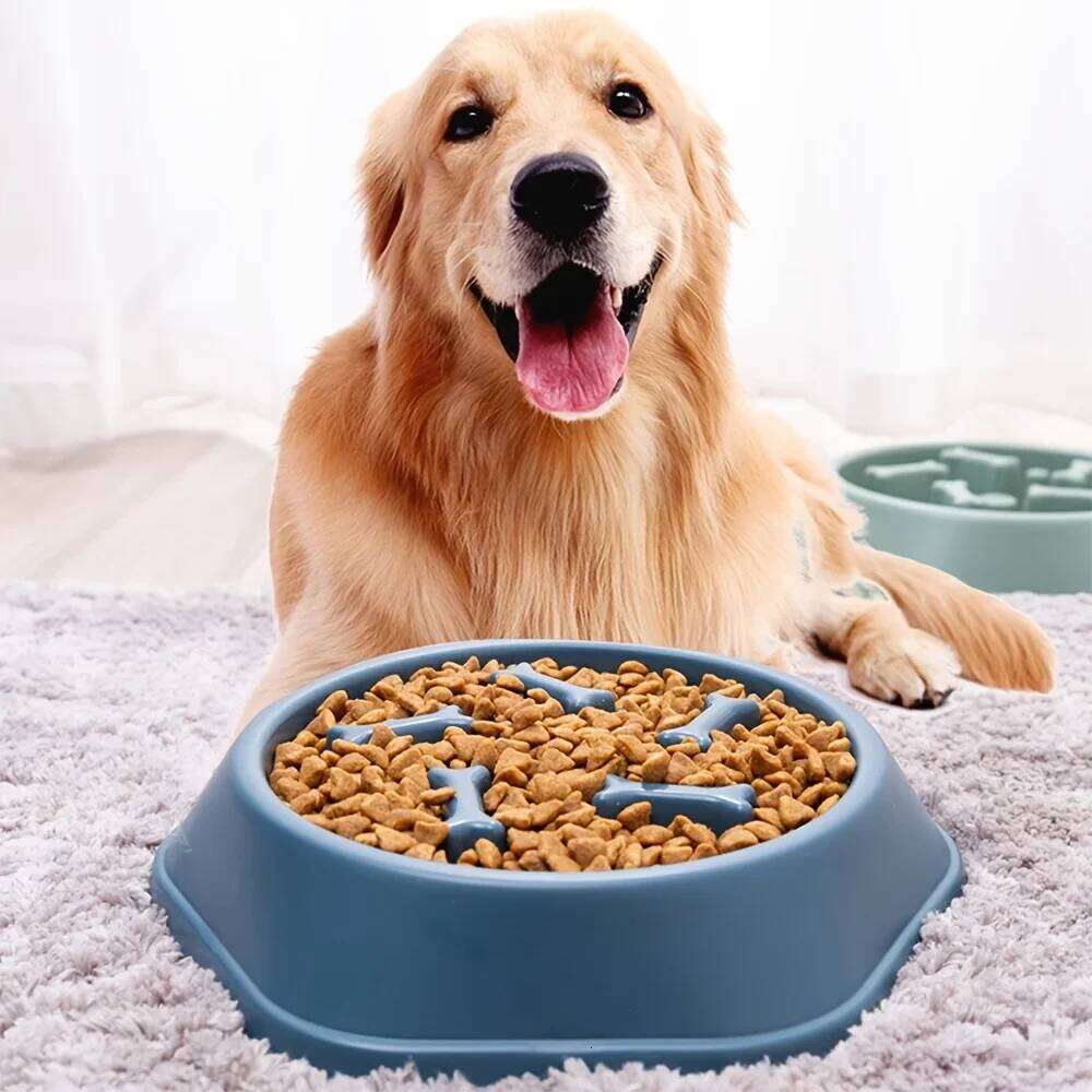 Feeder Non-choking Bowl Anti Slip Large Capacity for Dog and Cat Anxiety Slow Food Feeding Pet Supply 26Y0312