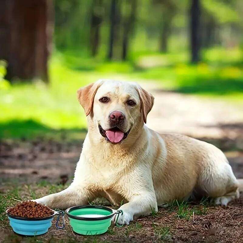 2 Pack Portable Collapsible Dog Bowl Cover Travel-Friendly Waterand Food Dish with Lid 26Y0312