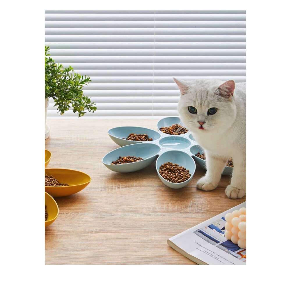 Petal Baby Milk Special Multi functional Cat and Dog Food Bowl Upgrade Pet Lunch Time 26Y0312